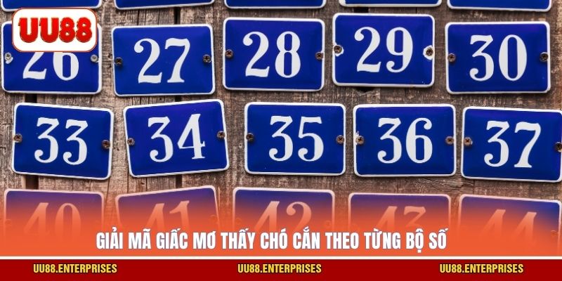 Giải mã giấc mơ thấy chó cắn theo từng bộ số