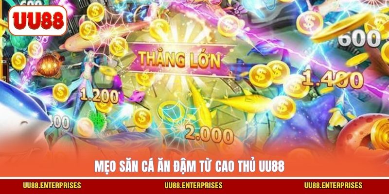 Mẹo săn cá ăn đậm từ cao thủ UU88