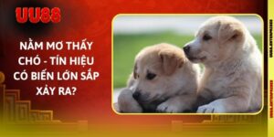 Nằm Mơ Thấy Chó - Tín Hiệu Có Biến Lớn Sắp Xảy Ra?