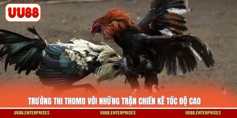 Trường thi Thomo với những trận chiến kê tốc độ cao